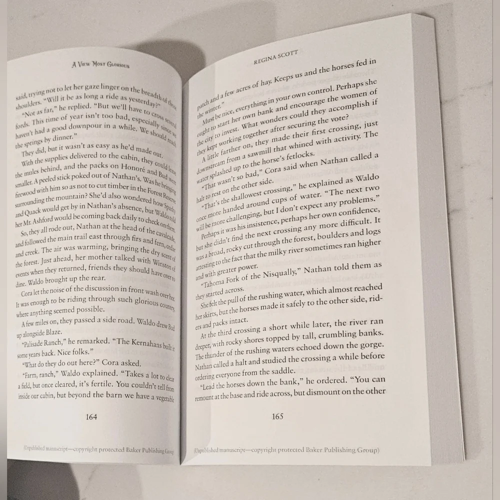 BOGO A View Most Glorious Book by Regina Scott Paperback Book